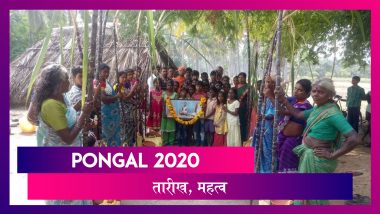 Pongal 2020: दक्षिण भारत का सबसे बड़ा त्योहार पोंगल शुरू, जानें तारीख और महत्व